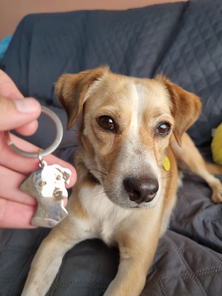 llaveros de perro personalizados